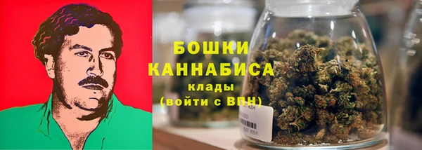 PSILOCYBIN Нягань