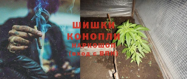 PSILOCYBIN Нягань