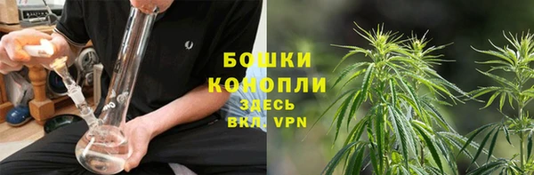 прущая мука Няндома